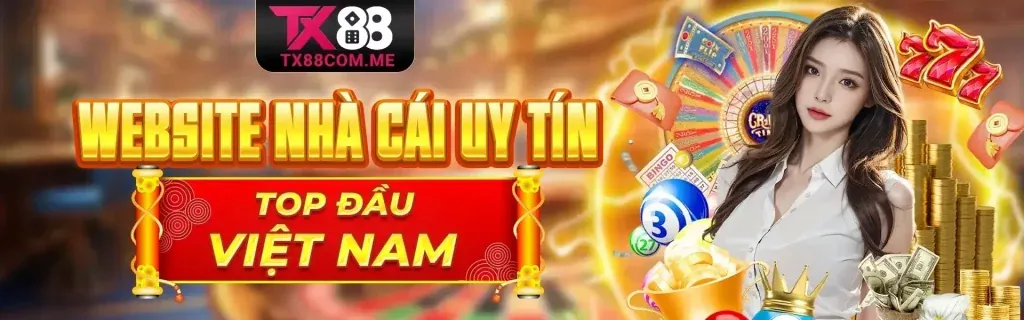 Tổng quan về điều khoản dịch vụ 8us win