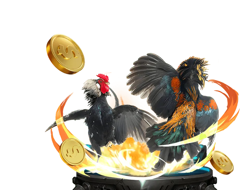 Chương trình VIP 8us win